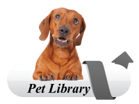 Visit the VIN Pet Library Visit the VIN Pet Library