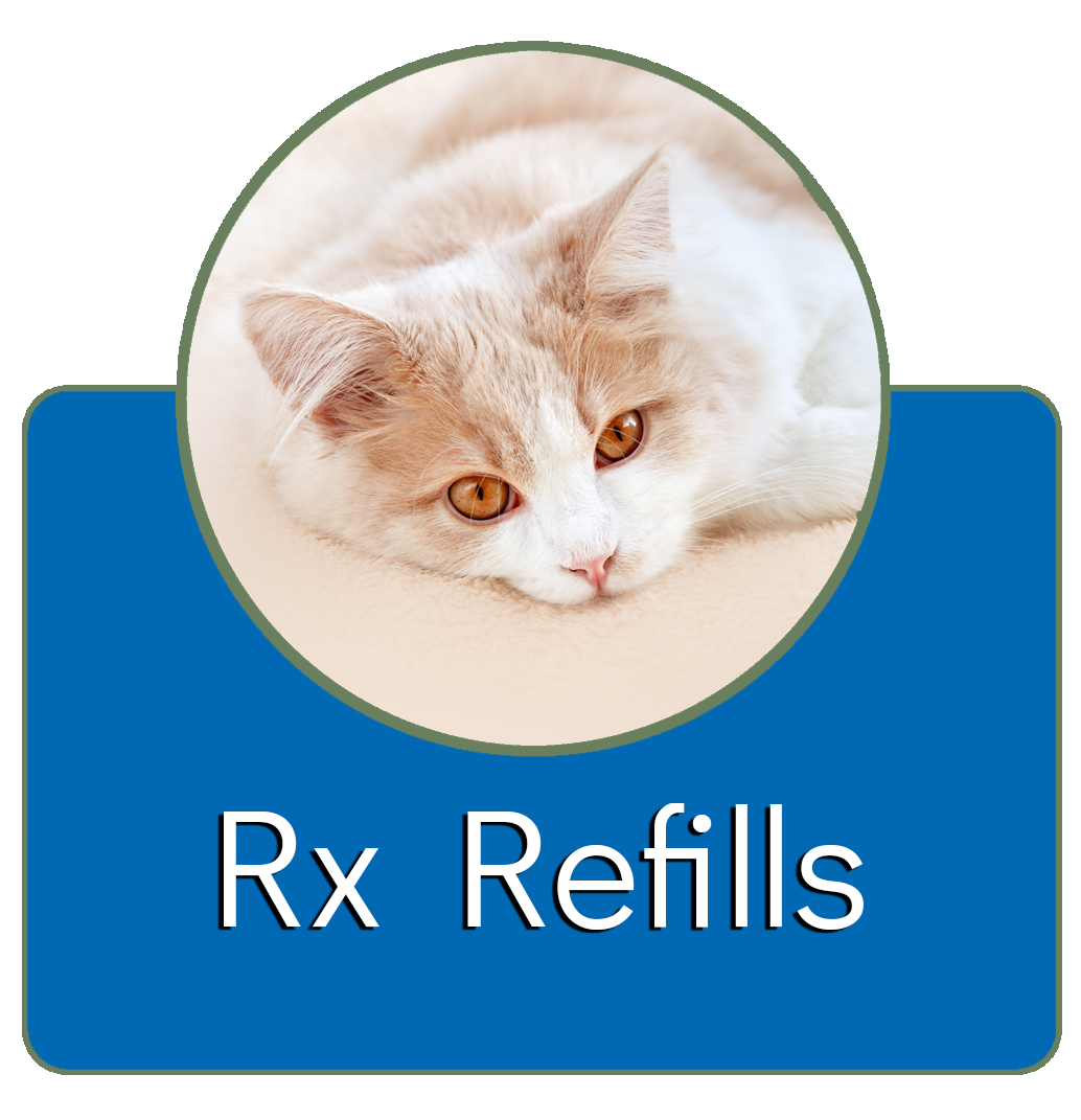 RX Refills